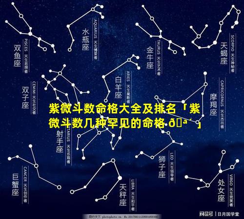 紫微斗数命格大全及排名「紫微斗数几种罕见的命格 🪴 」